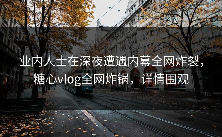 业内人士在深夜遭遇内幕全网炸裂，糖心vlog全网炸锅，详情围观