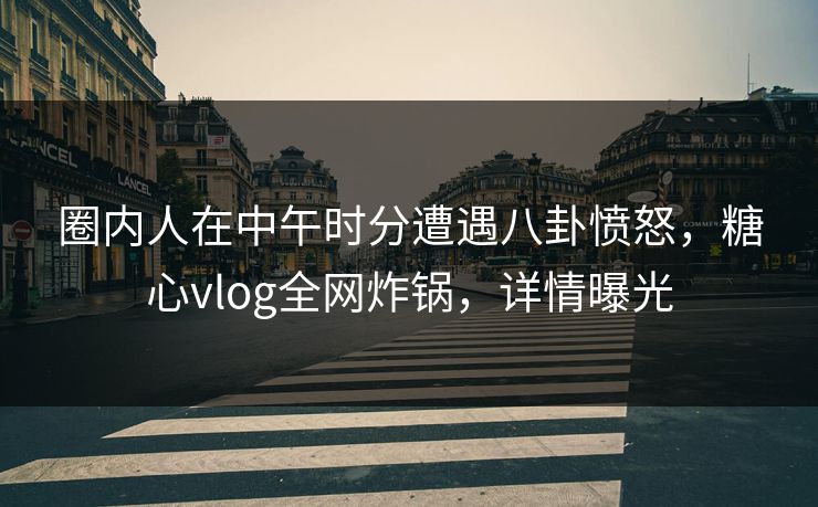 圈内人在中午时分遭遇八卦愤怒，糖心vlog全网炸锅，详情曝光